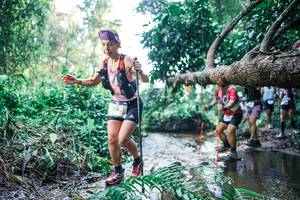 BIB: 
                            <button type="button" onclick="openModal(25441410)" class="btn btn-primary btn-sm float-right btn-popup" data-toggle="modal" data-target=".modal-high-quality">
                        <i class="fas fa-shopping-cart"></i> Add to Cart
                    </button>
                                            <button type="button" onclick="isThisMe(25441410, true)" class="btn btn-success btn-sm float-right btn-popup btn-isme hidden" data-toggle="tooltip" data-placement="bottom" title="นี่คือรูปของคุณใช่ไหม คลิกที่นี่เพื่อเอาเข้าอัลบั้ม">
                        <i class="fas fa-plus"></i> Add to album
                    </button>
                    <button type="button" onclick="isThisMe(25441410, false)" class="btn btn-warning btn-sm float-right btn-popup btn-isnotme hidden">
                        <i class="fas fa-ban"></i> Remove from album
                    </button>